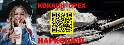 гидропоника Канаш