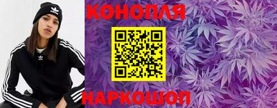 гидропоника Канаш