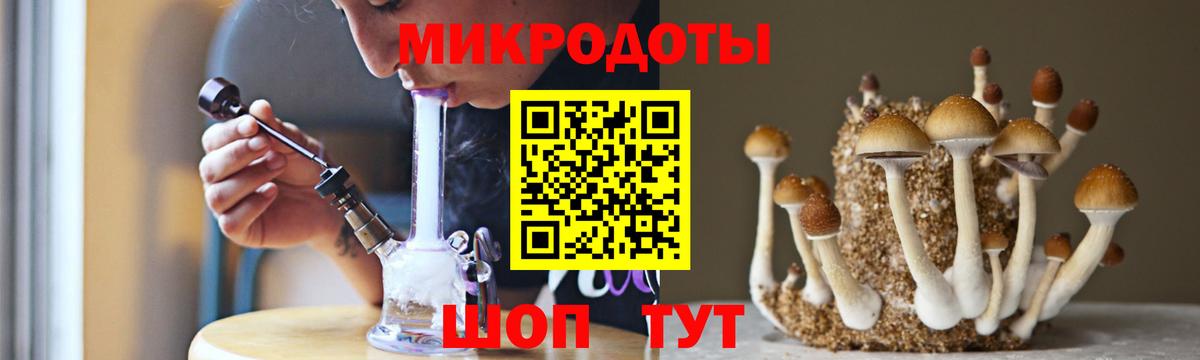 Галлюциногенные грибы GOLDEN TEACHER  Вход с VPN  Чистополь 