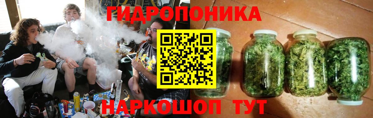 Бошки марихуана Bruce Banner  Каннабис гибрид  Конопля White Widow  Чистополь  Вход с VPN 